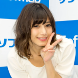 菊池梨沙と城島茂の馴れ初めや年齢差・子供・実家の金持ち説・国籍やハーフ説まで徹底解説